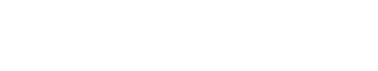 The Rookie logo
