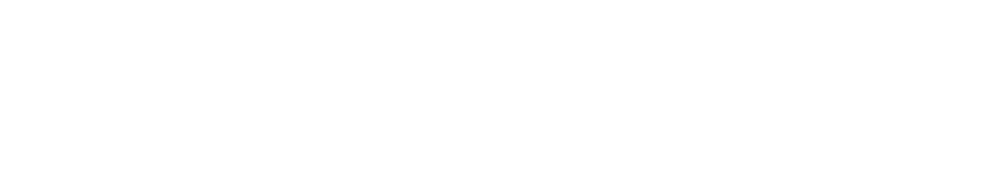 Double Holiday logo