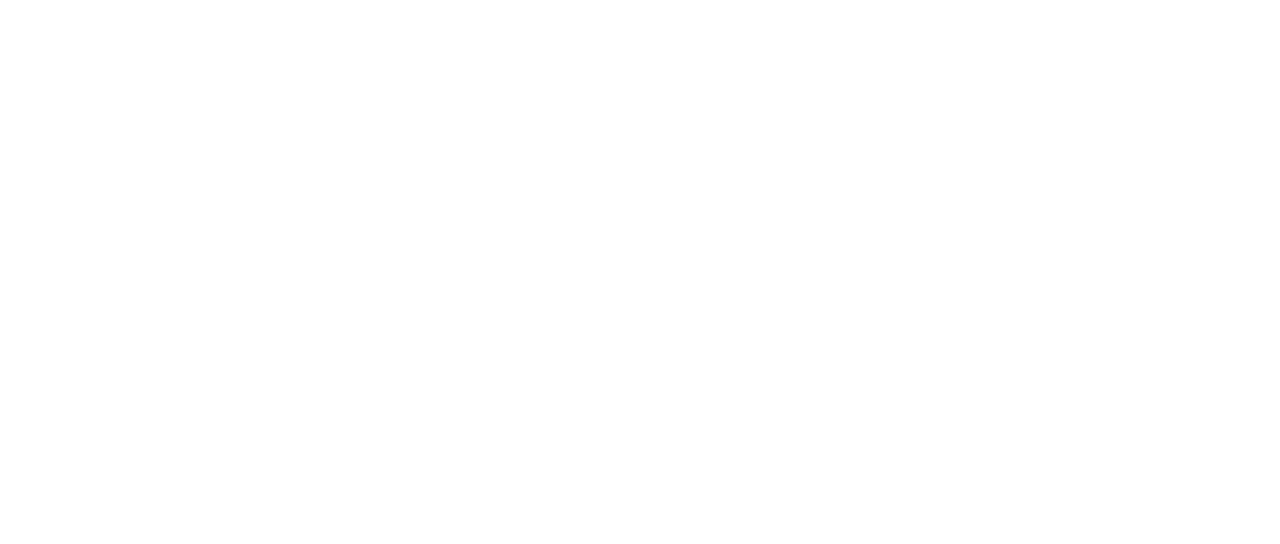 Haider logo