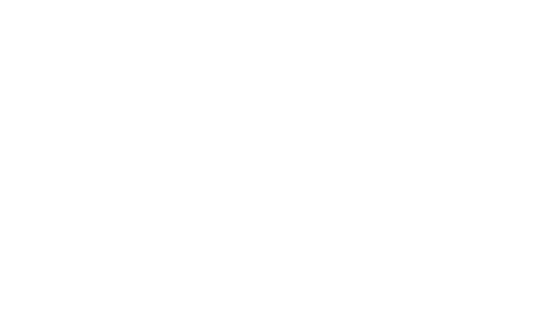 Salt of the Earth logo