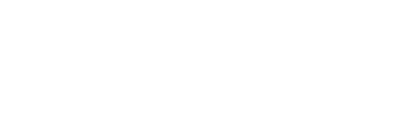 The Case Against Brooklyn logo