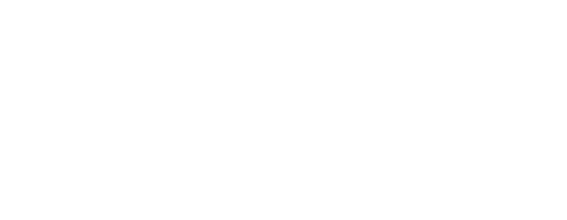 The Flight of the Phoenix logo