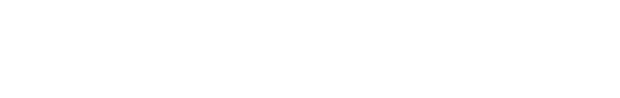 Run Hide Fight logo