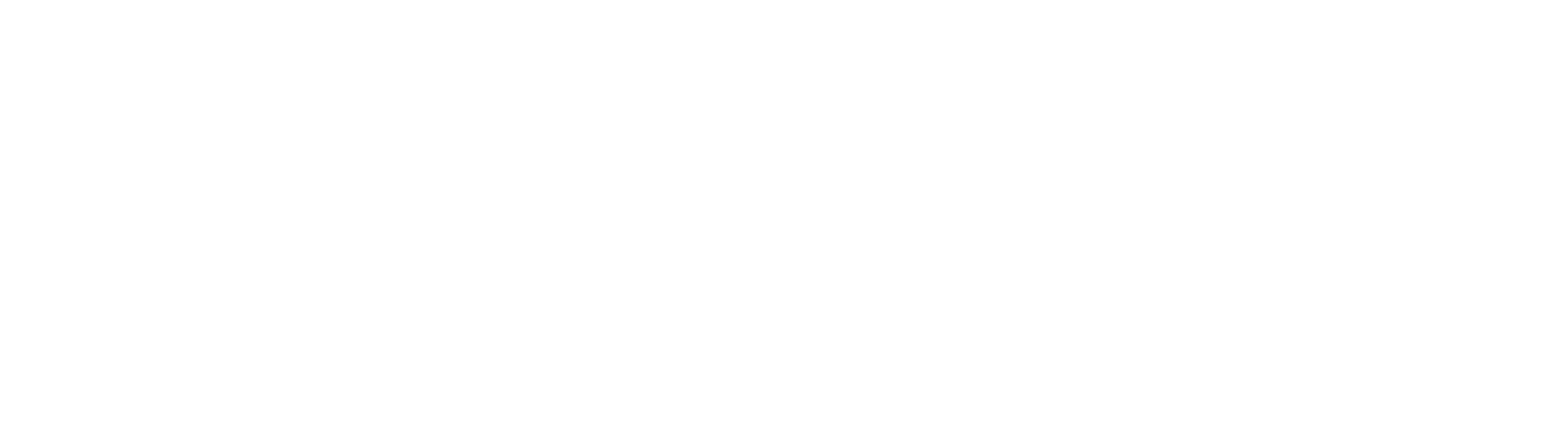 The Real Housewives of Melbourne logo