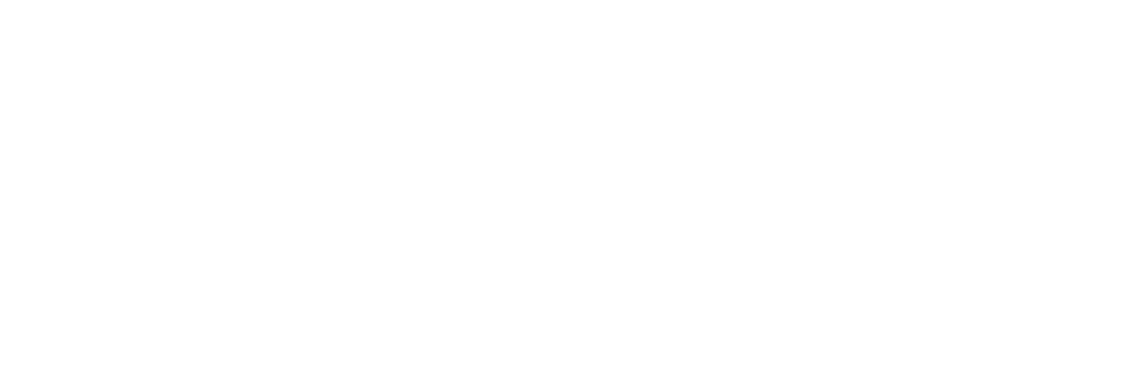 Summer School logo