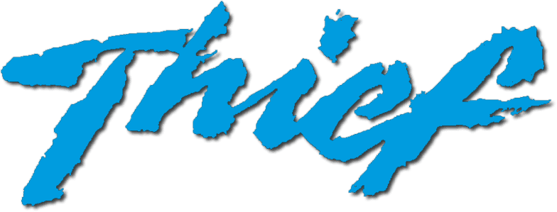 Thief logo