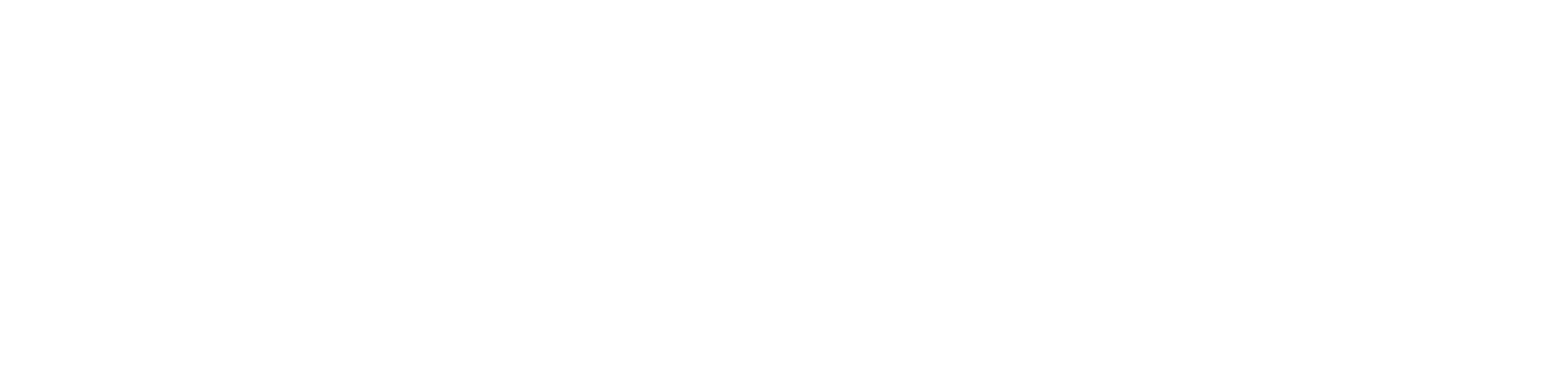 The Cruel Sea logo