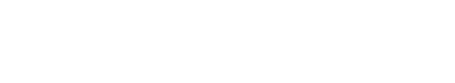 High Class Call Girls logo