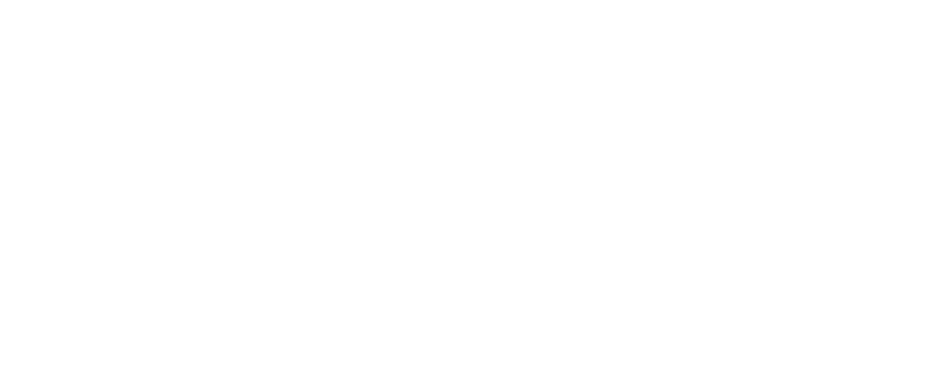 The Aryan Papers logo