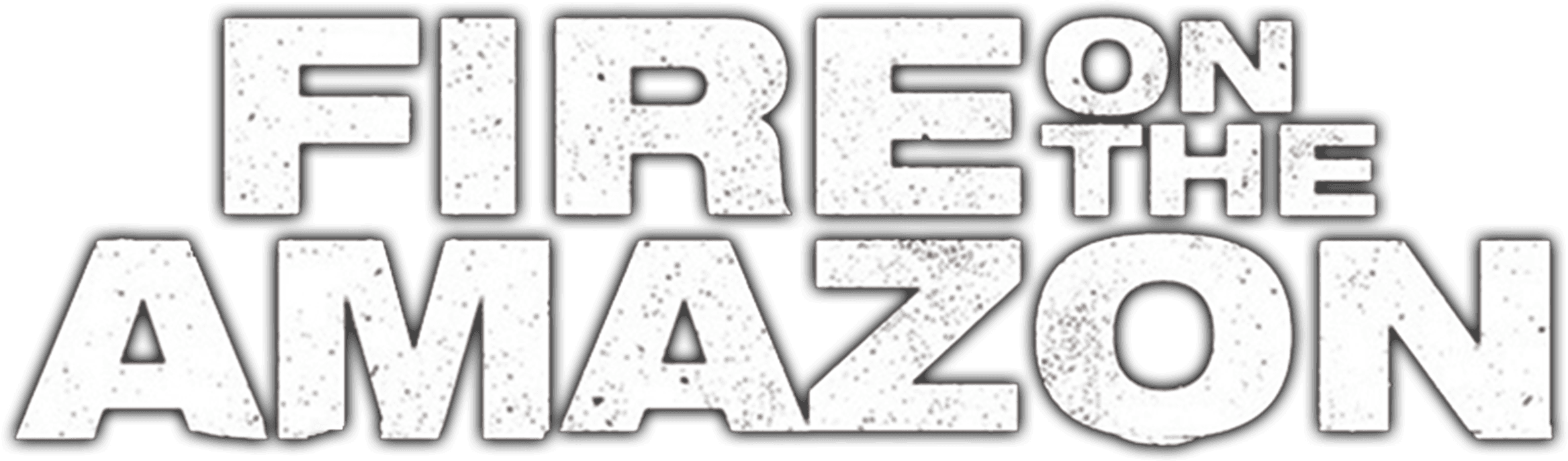 Fire on the Amazon logo