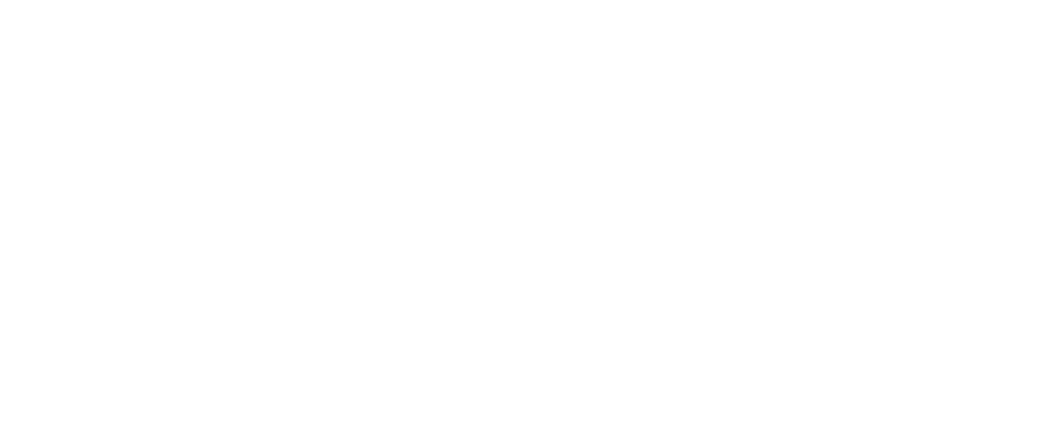 Never-Ending Summer logo