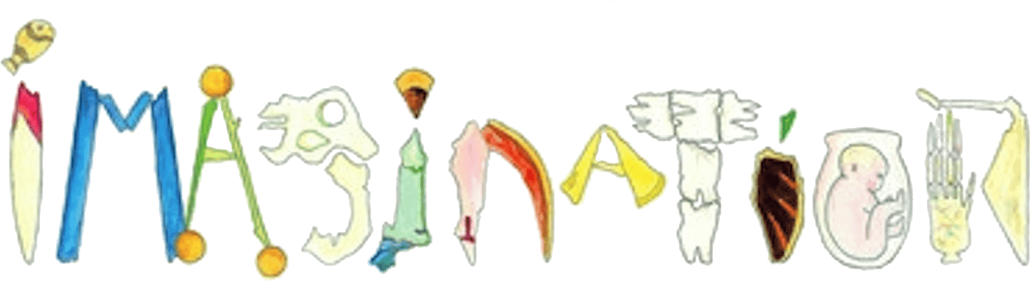 Imagination logo