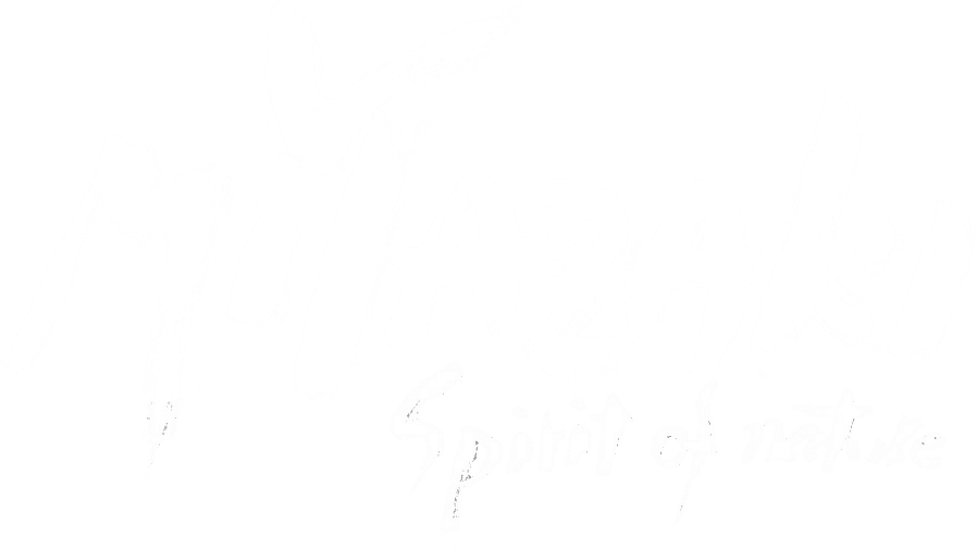 Miyazaki, Spirit of Nature logo