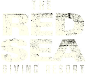 The Red Sea Diving Resort logo
