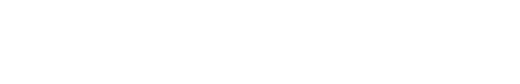 The Endless Summer logo