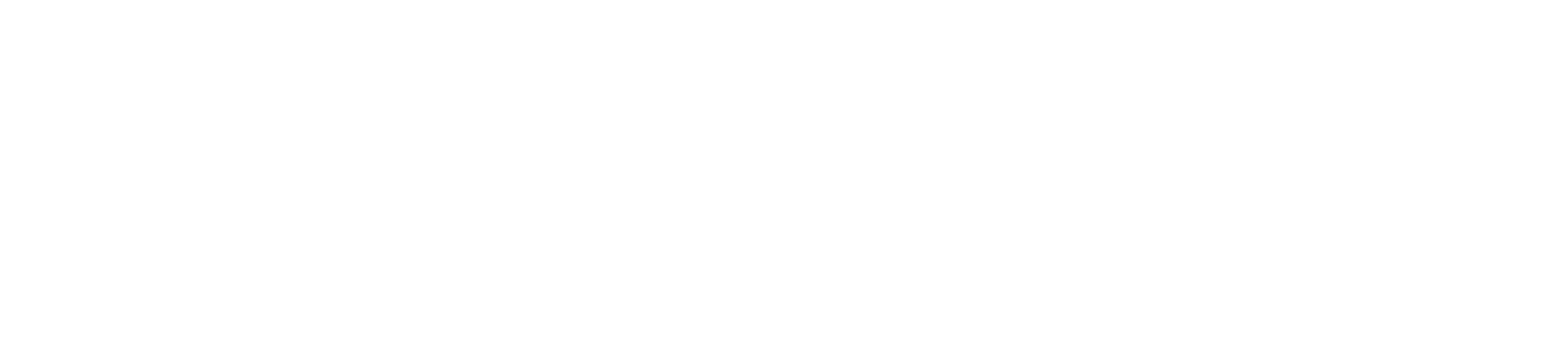 The New Kids logo