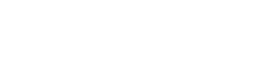 Holy Flame of the Martial World logo
