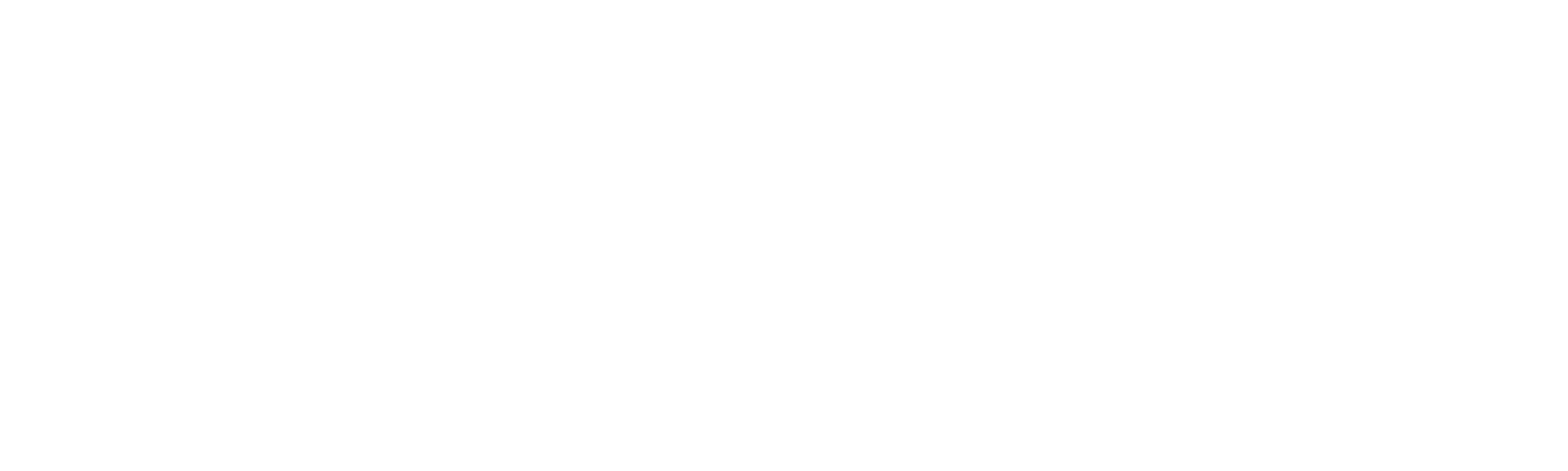 Next Day Air logo