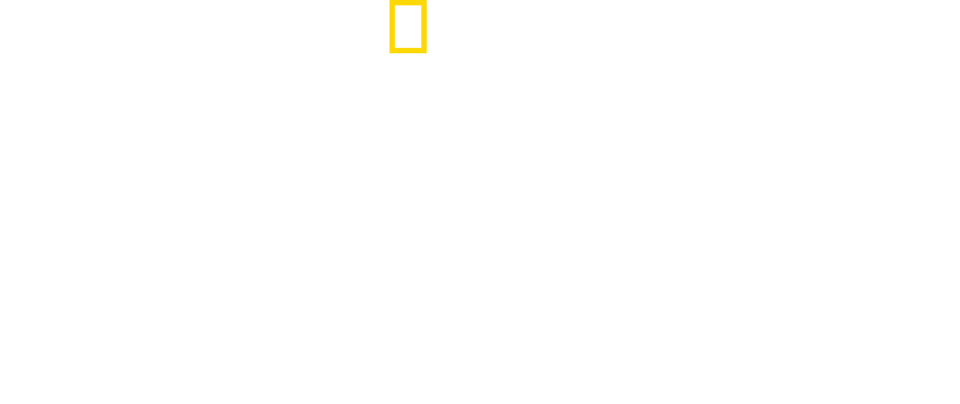 Michael Palin in North Korea logo