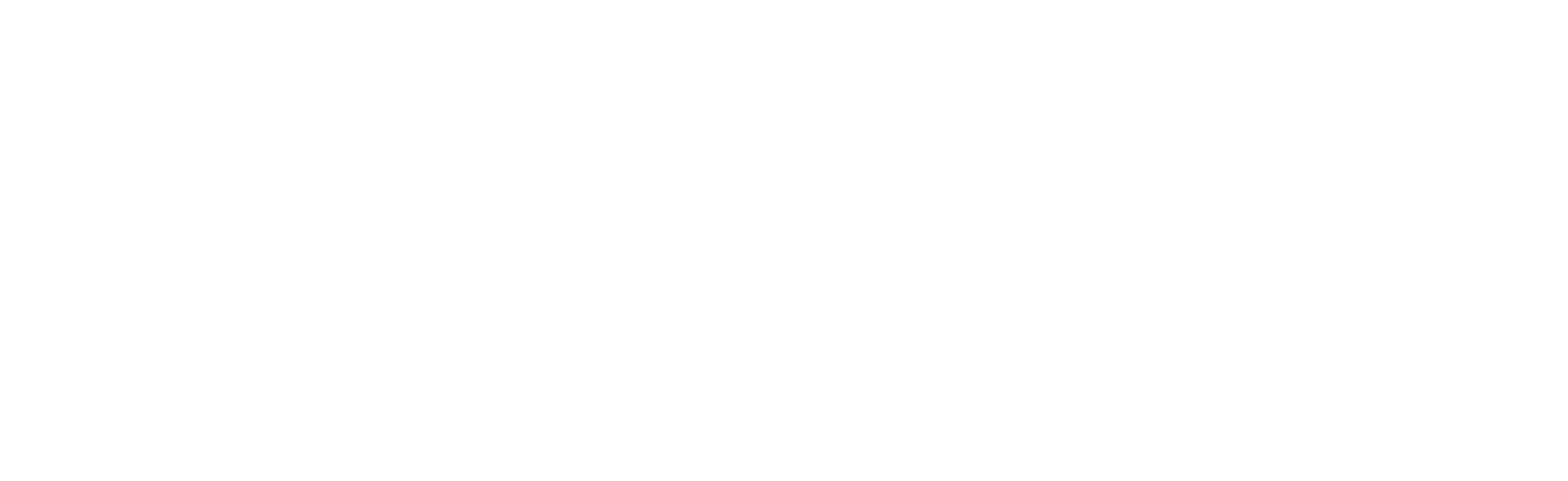 Armor logo