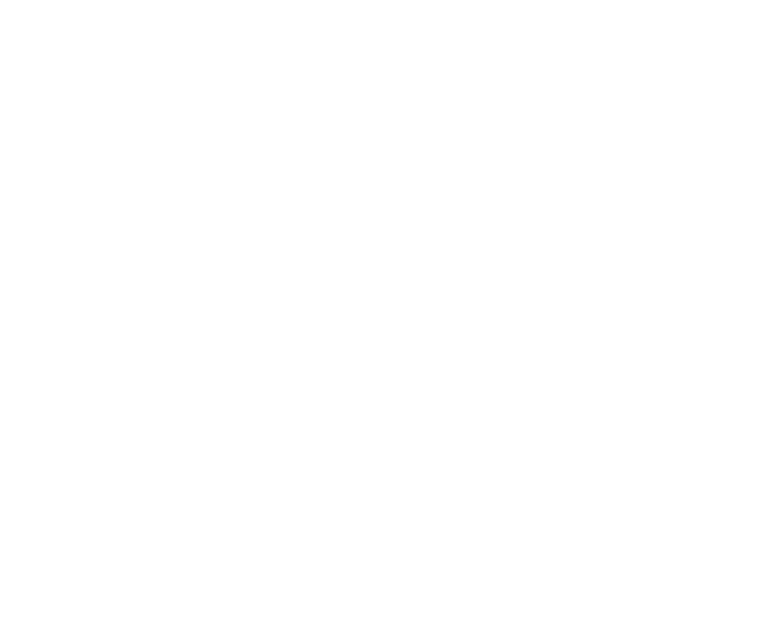 Dead Birds logo