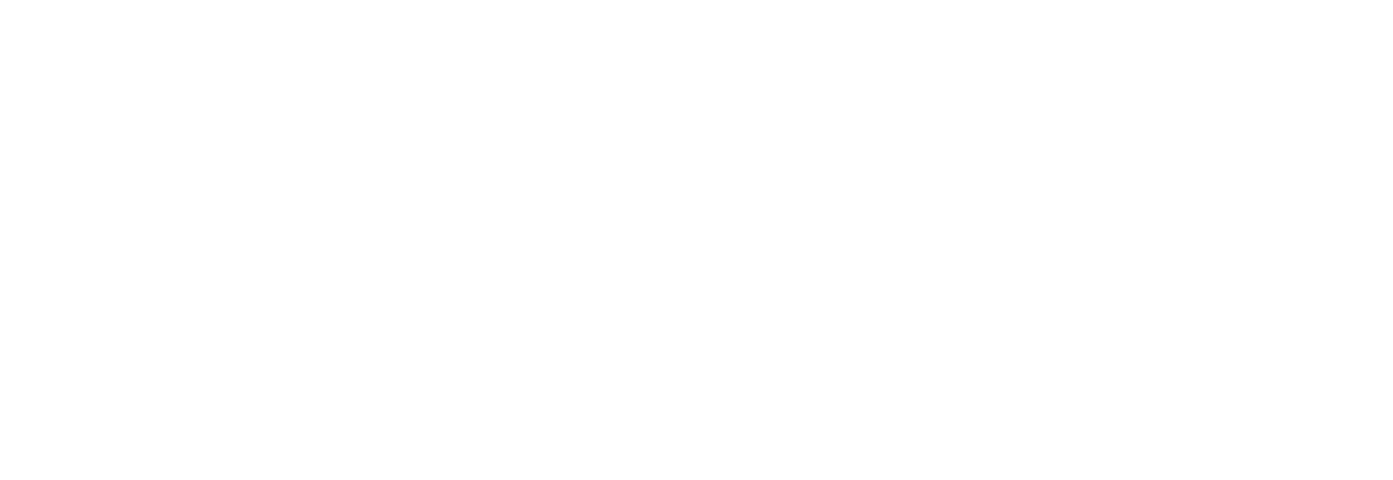 Show Me the Money logo