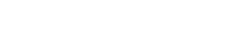 Nemesis logo