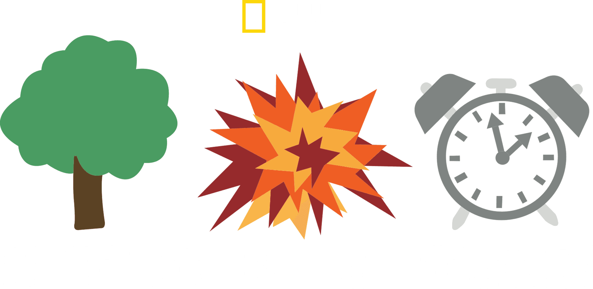 Nature Boom Time logo