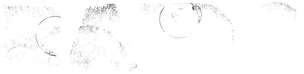 Raid 2 logo