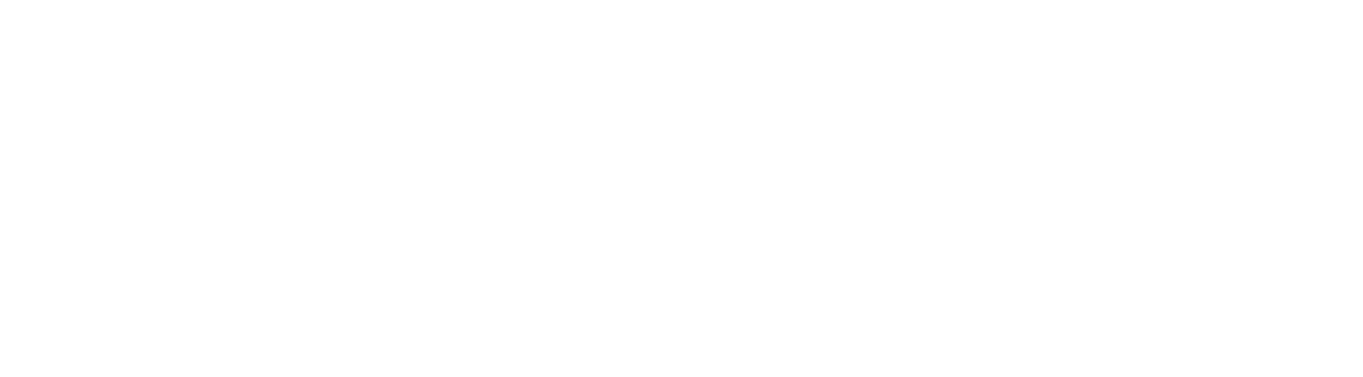 Connect logo