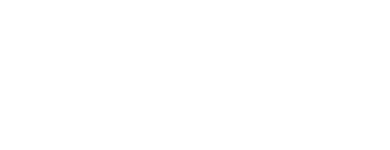 The Tall Texan logo