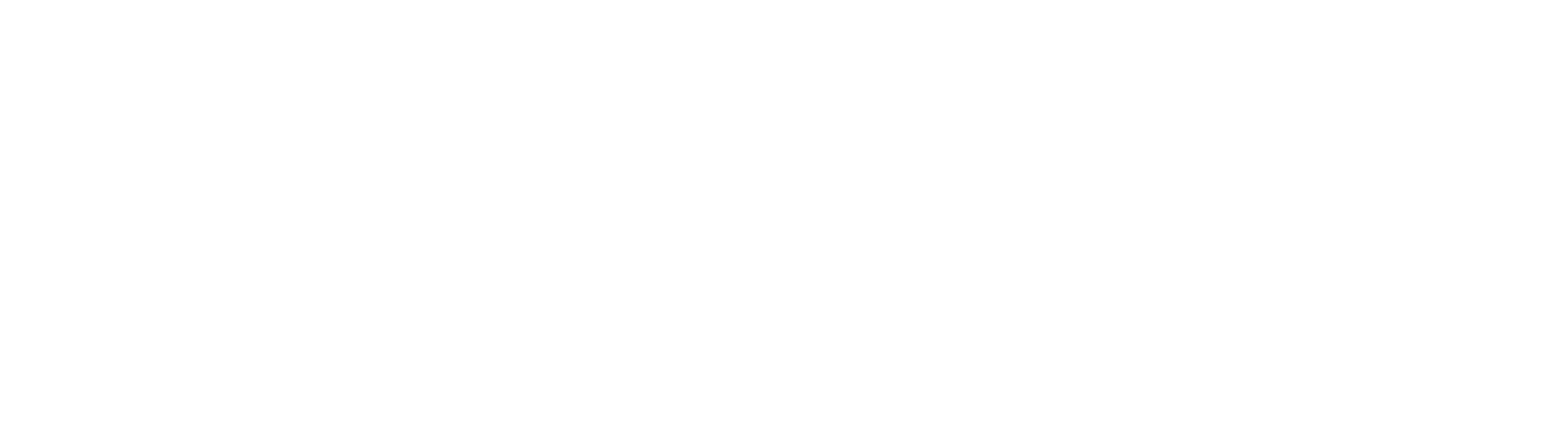 F for Fake logo