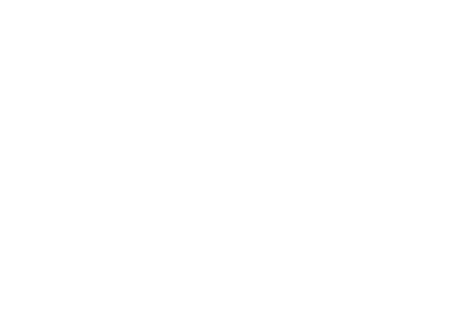The Ladies Man logo