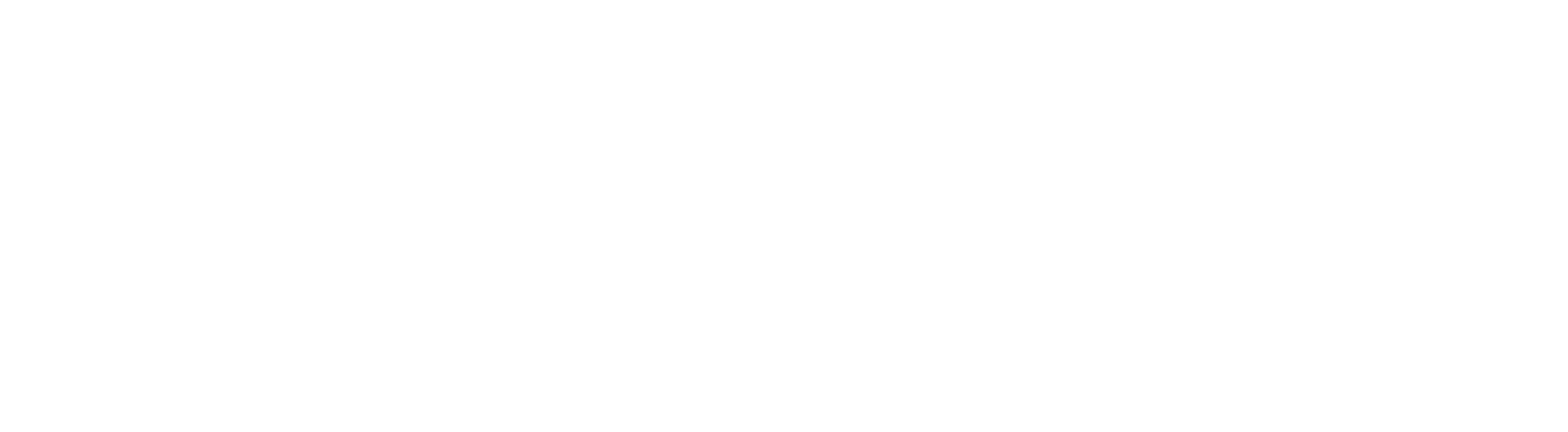 The Fatal Raid logo