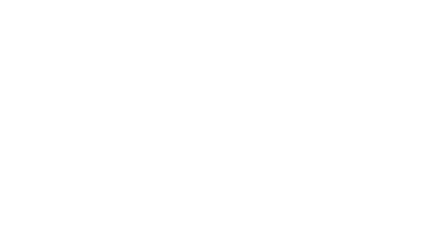 Enter the Ninja logo