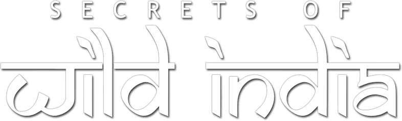 Secrets of Wild India logo