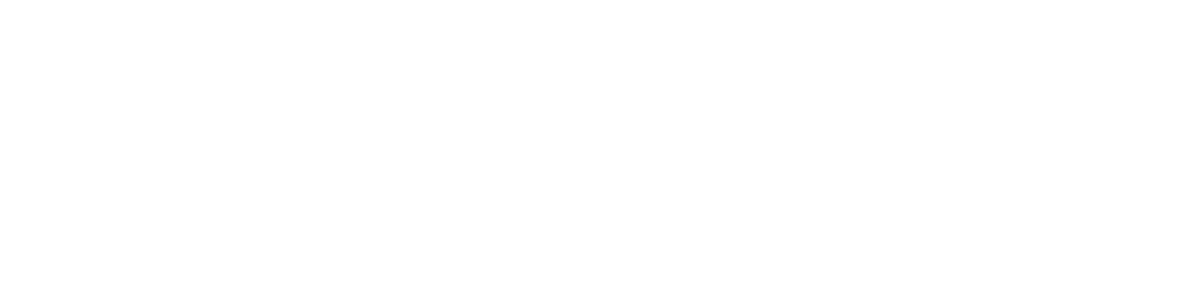 Agnes logo