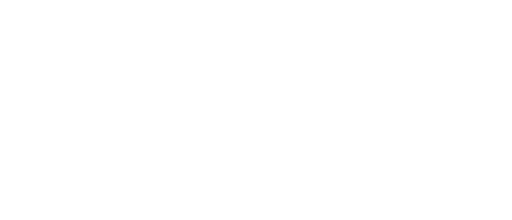 Chef Son-in-Law logo