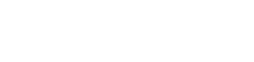 Picturing the Presidents logo