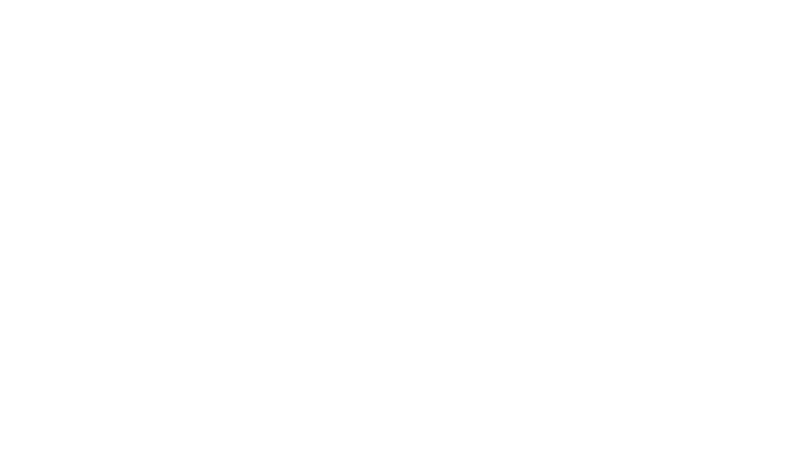 Montana Belle logo