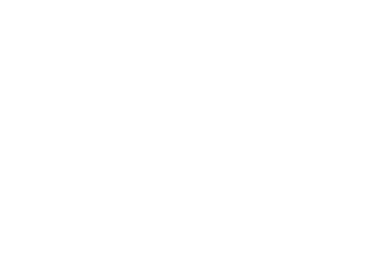 The Mirror Has Two Faces logo
