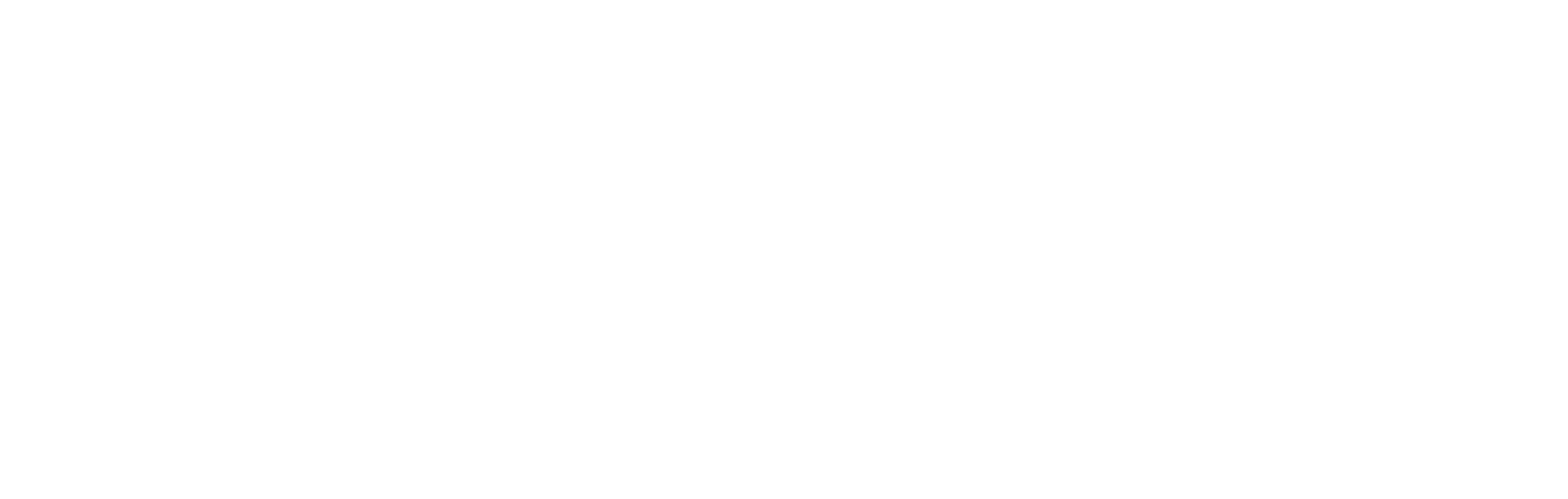 Teen Mom OG logo