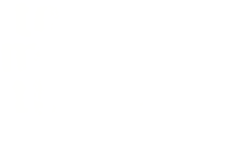 Too Many Thieves logo