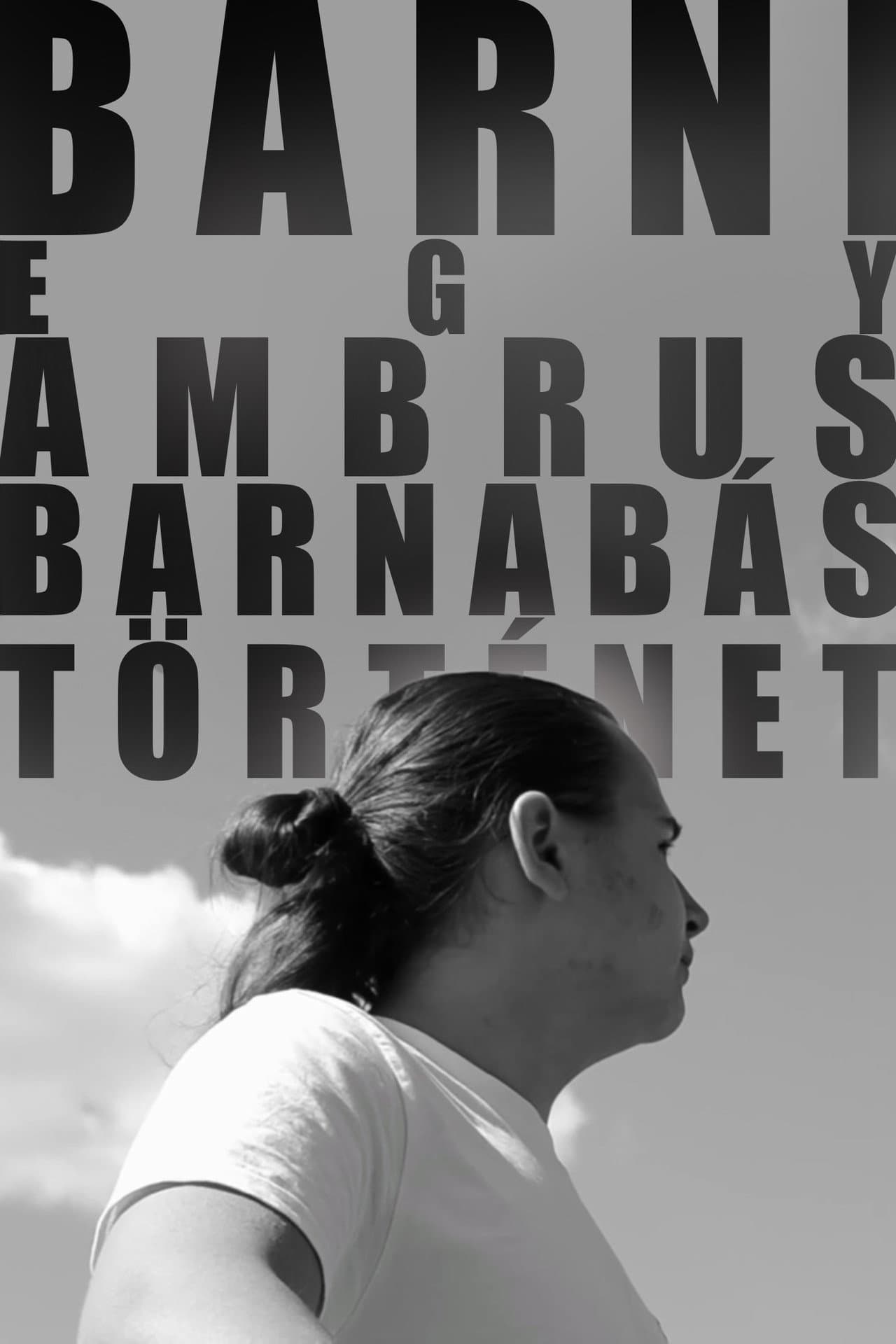 BARNI: A Barnabás Ambrus Story