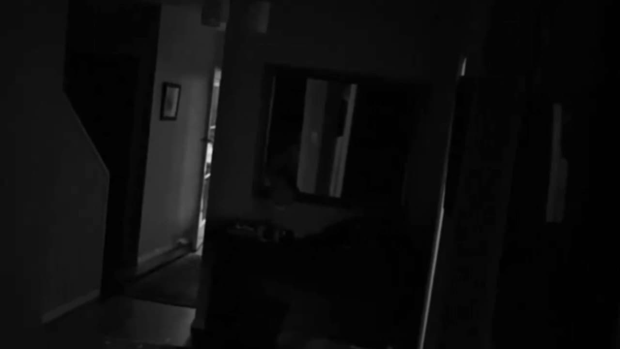 Follow the Light