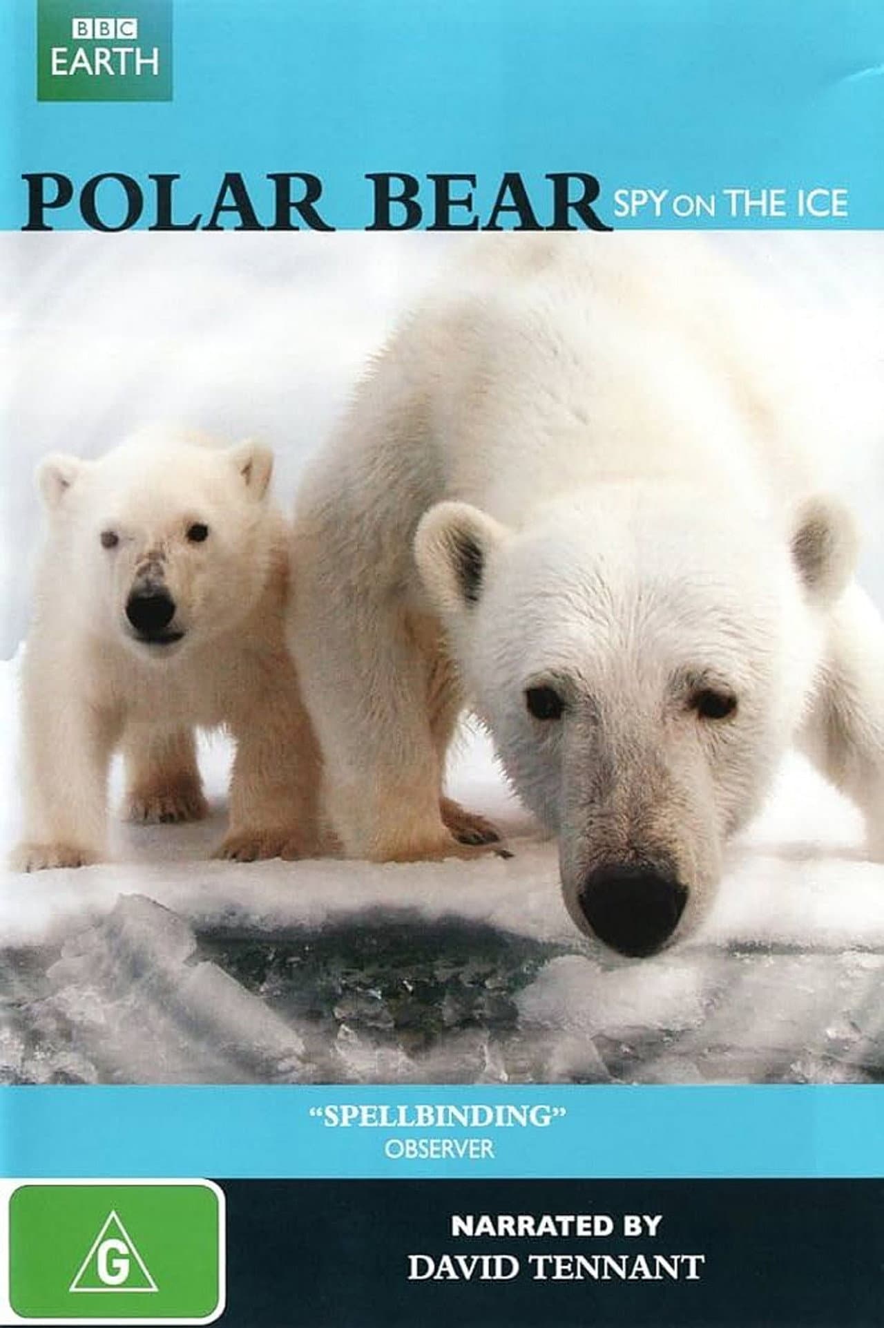 Polar Bear: Spy on the Ice