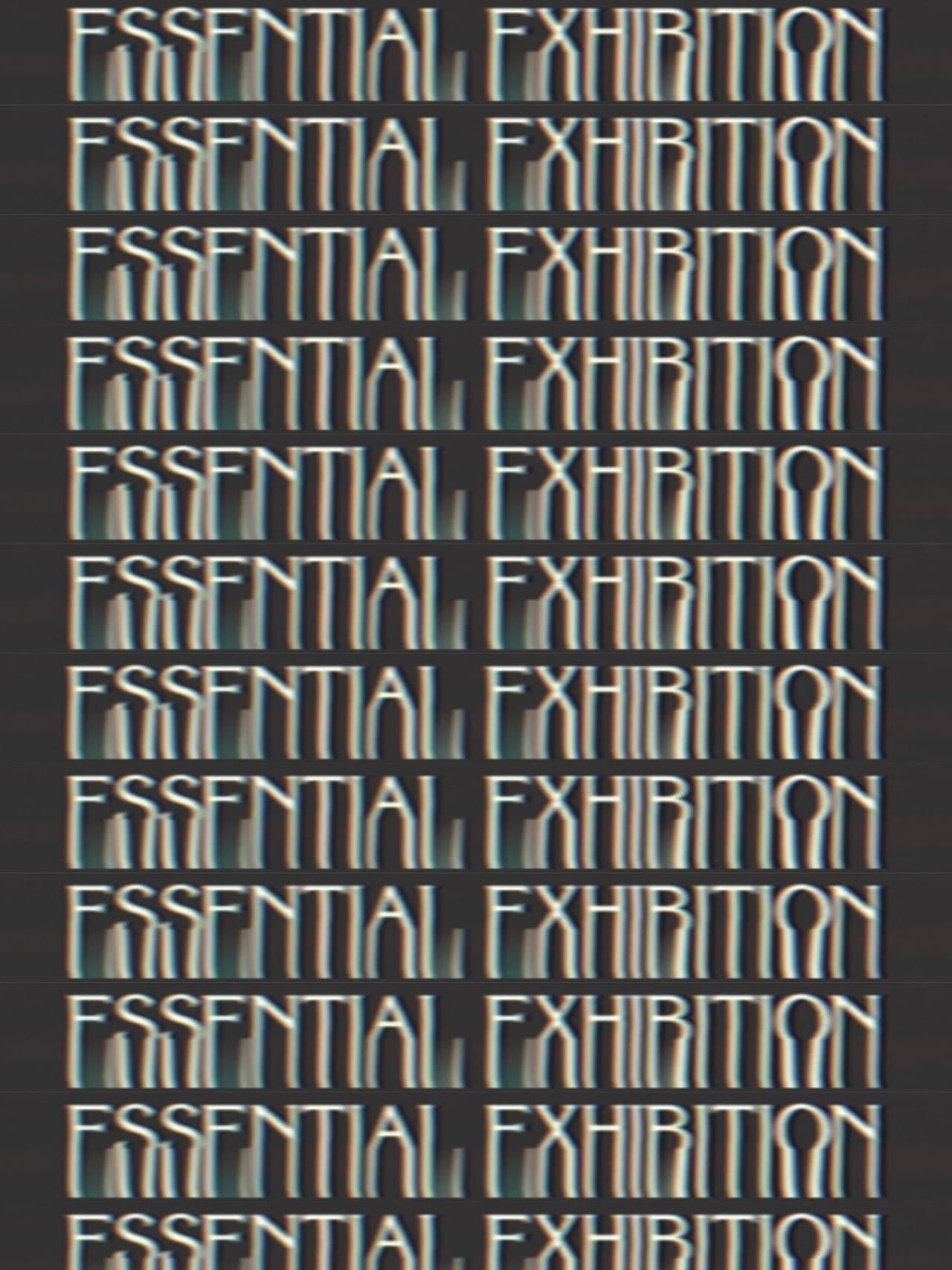 Essential Exhibition
