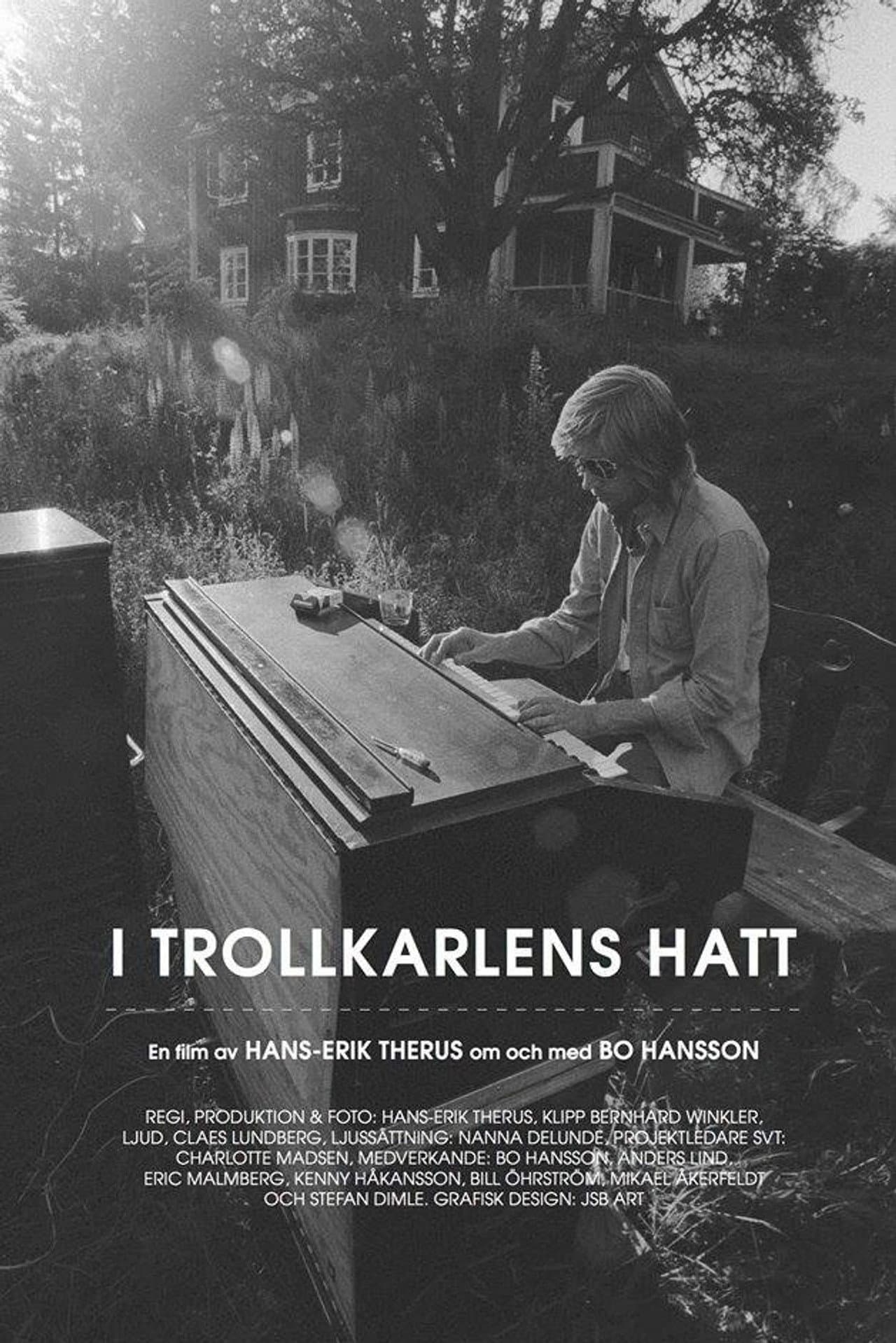 I Trollkarlens hatt