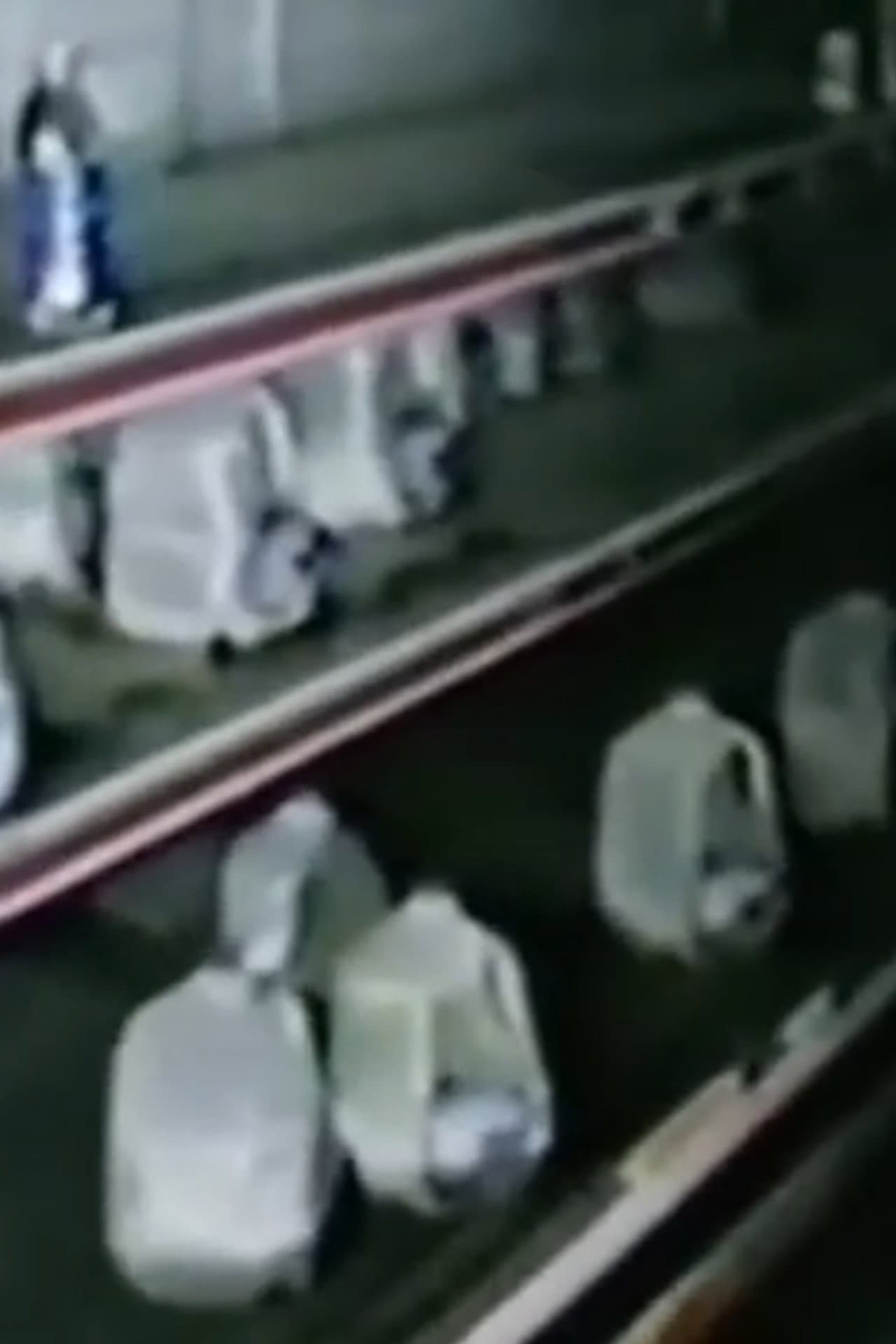 The Mexia Incident