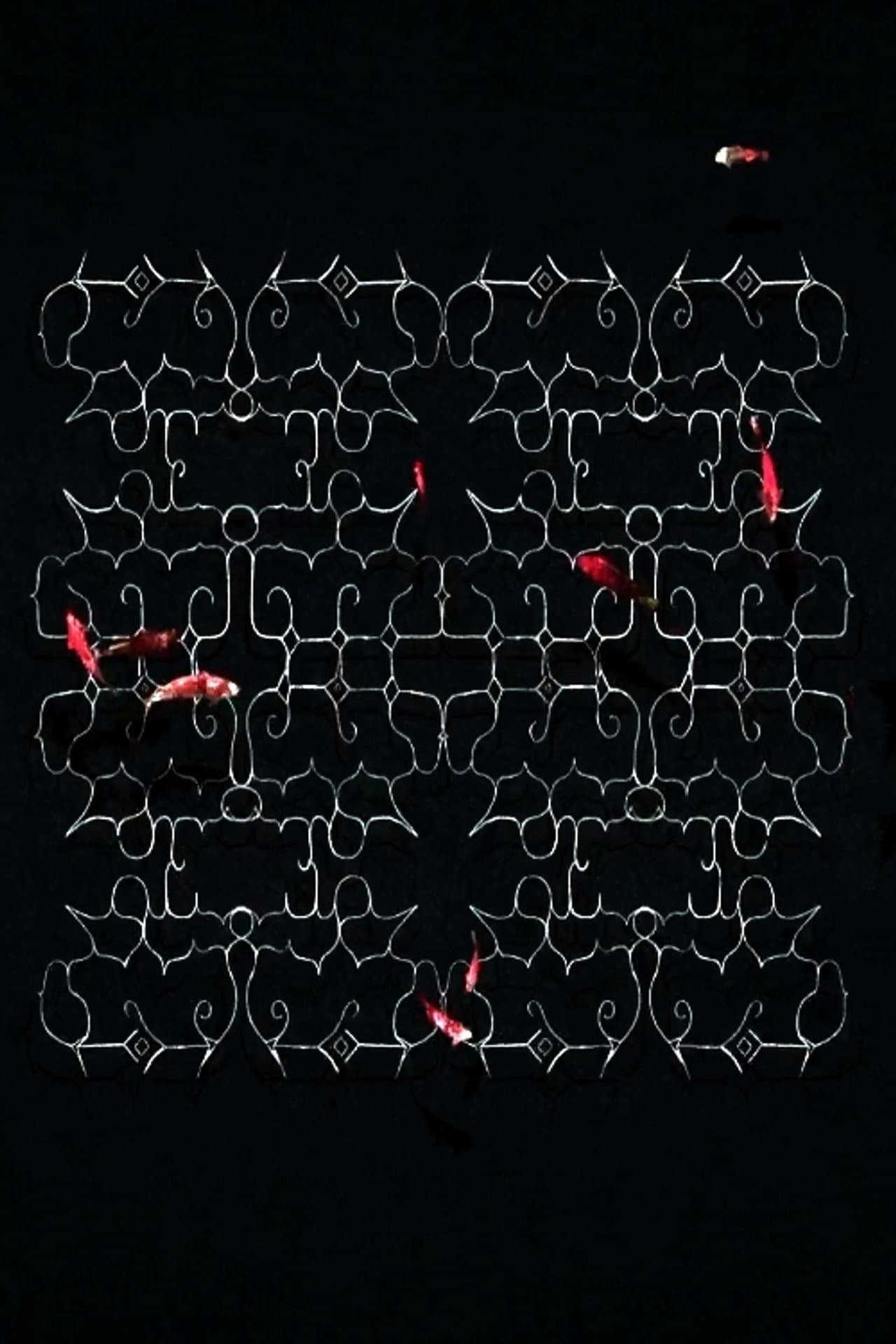 Ciciri